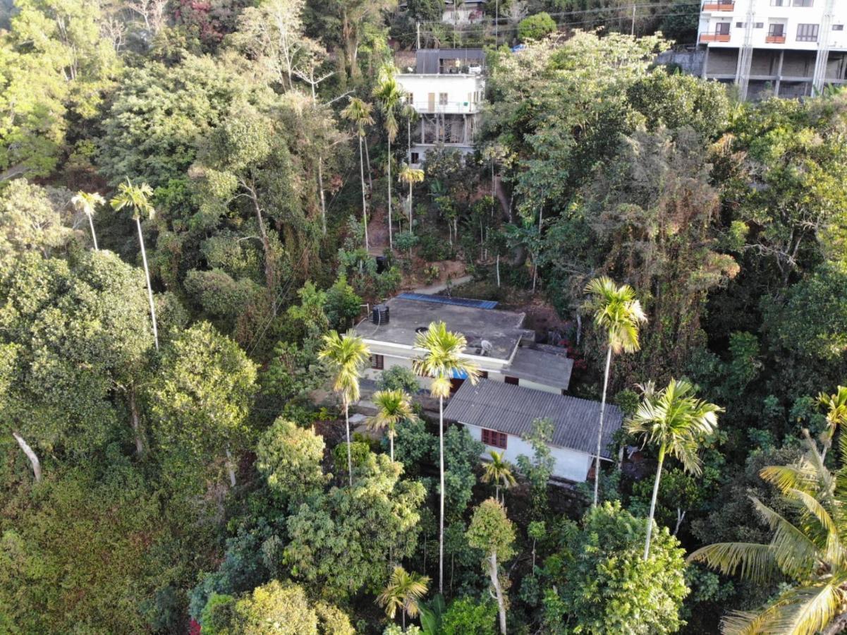 Greenpepperhomestay Munnar Anaviratty Dış mekan fotoğraf
